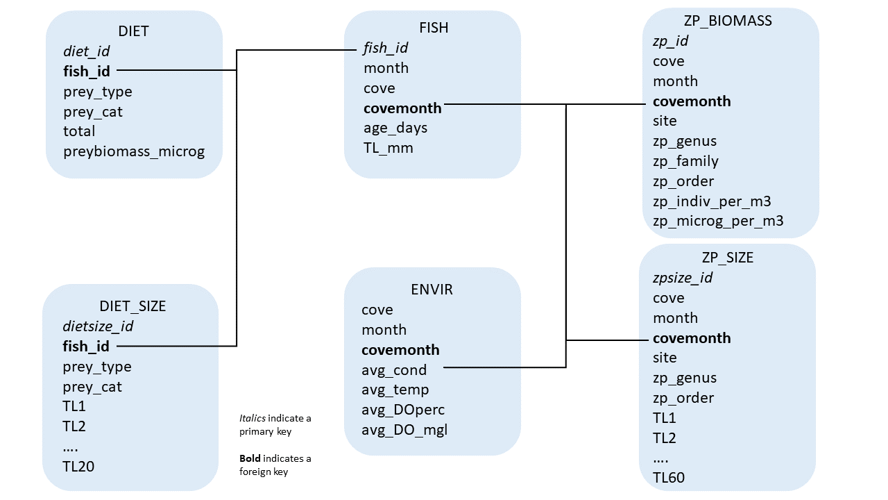 Schematic of database design